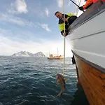 Rorbuene Havn *