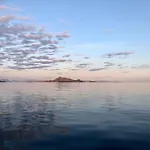 אכסניה Rorbuene Havn *